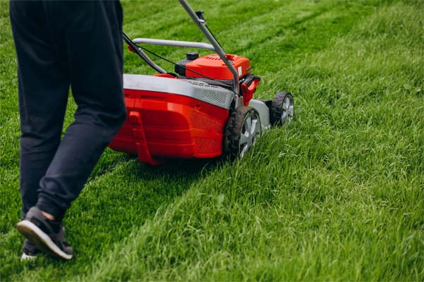 Características y usos de los productos Husqvarna para jardinería