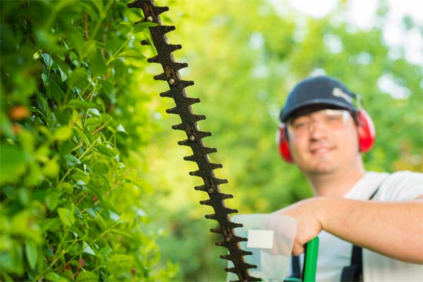 Evaluación de Durabilidad y Eficiencia en Herramientas de Jardinería