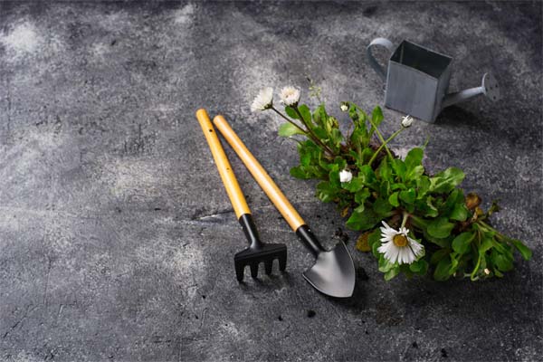 Selección y uso correcto de herramientas de jardinería esenciales